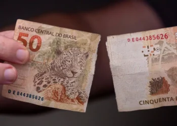 Dinheiro rasgado vale? Saiba o que fazer nesse caso