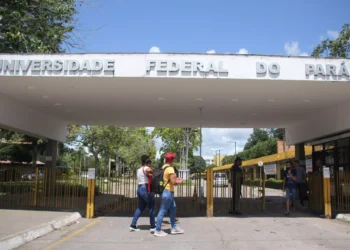 UFPA 2025: confira os aprovados no vestibular e próximas etapas